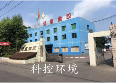 四川遠(yuǎn)星橡膠有限責(zé)任公司（廢水、廢氣處理）